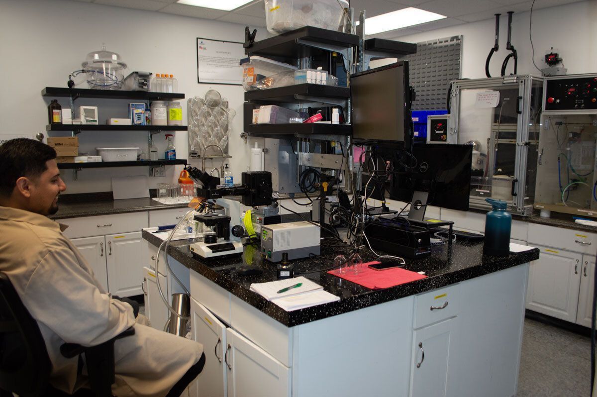 working in lab